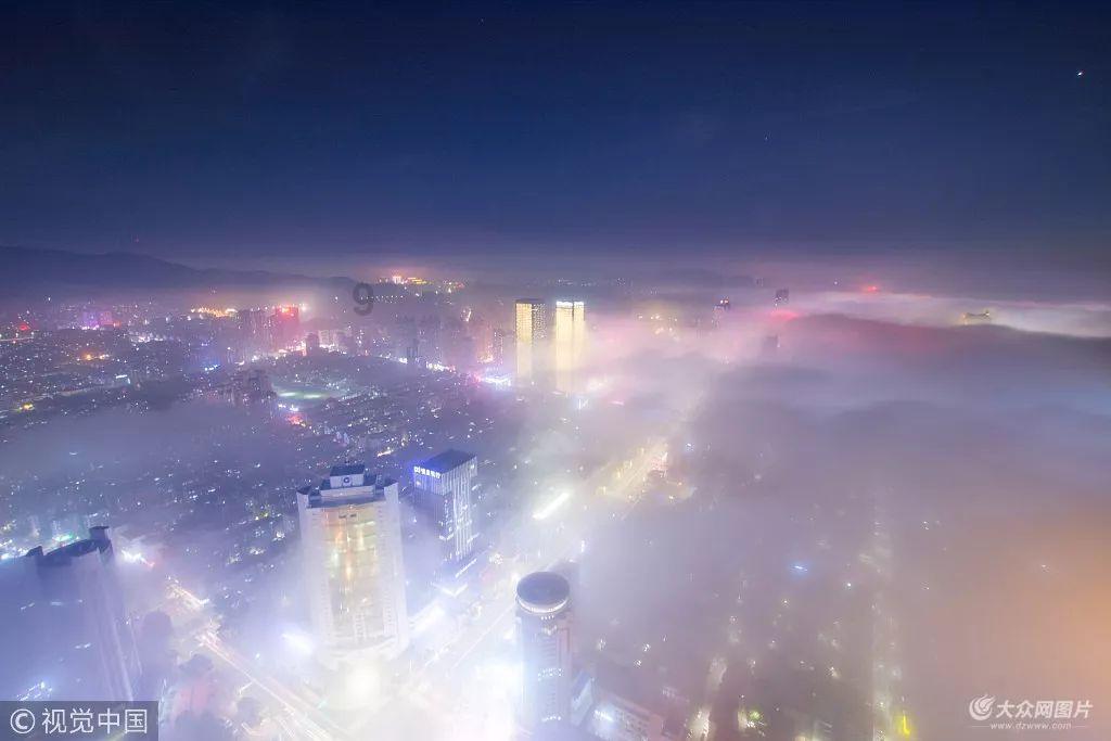 虫虫助手下载